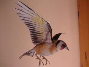 DSC08425