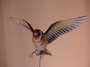 DSC08426